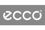 Ecco